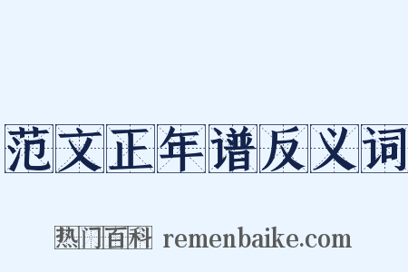 范文正年谱反义词是什么意思的图片